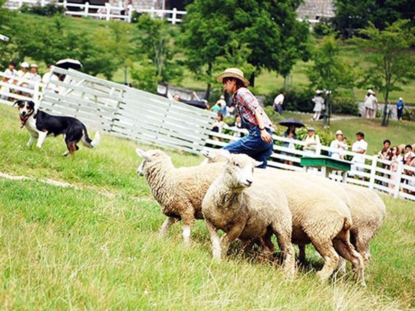 五月最适合去日本哪里治愈?日媒推荐十大日本