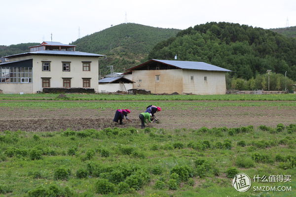 2018松赞行旅行篇 篇一:2018松赞行(香格里拉