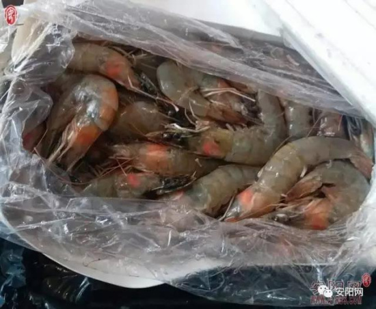 申通快递又出问题 安阳男子收到邮寄海鲜肺都气炸了