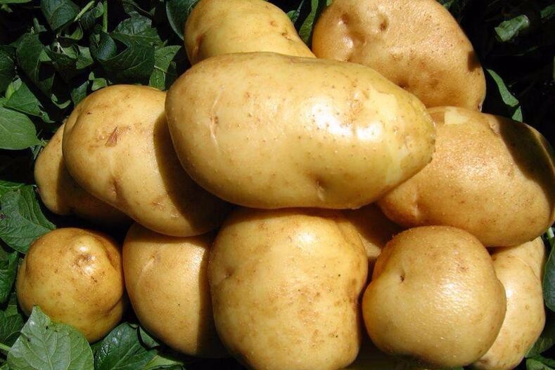 治疗幽门螺杆菌感染的10种食疗偏方