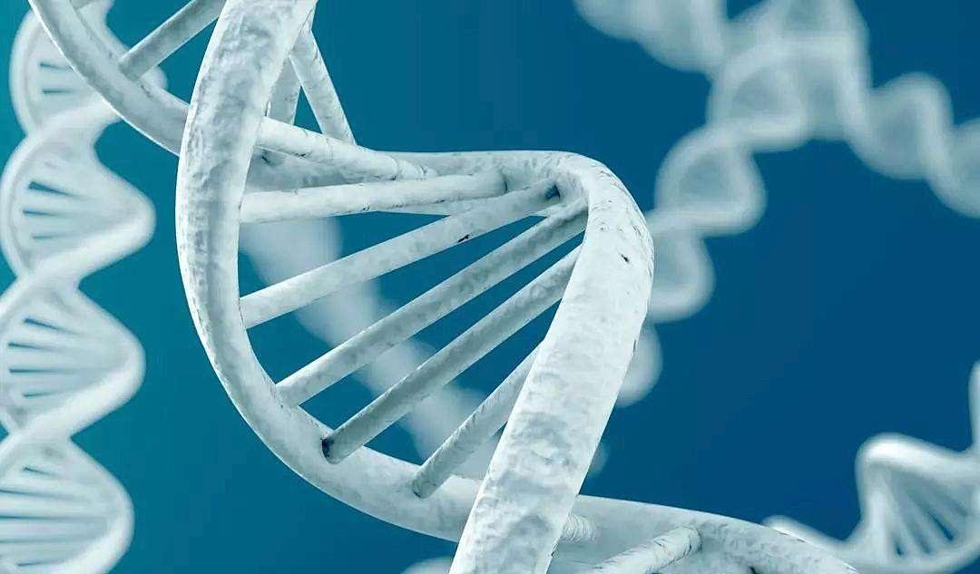 高龄产妇(35岁以上)有必要做唐氏筛查吗?