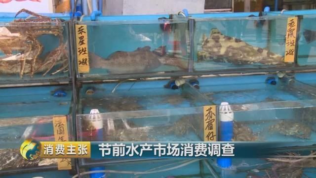 春节临近,龙虾、帝王蟹、带鱼.这几种海鲜水产