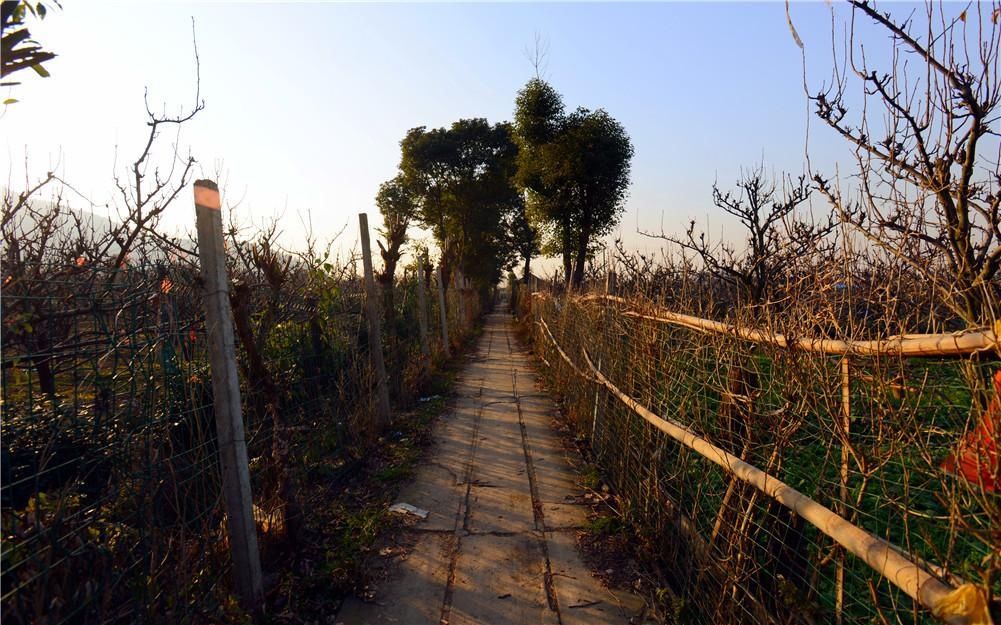 骑行徒步享美食 细品树山慢生活离苏州不远的