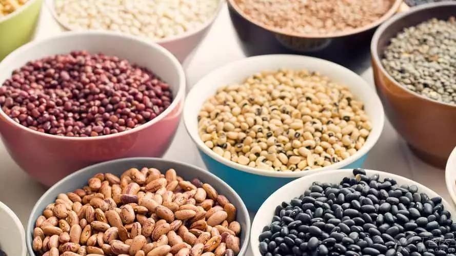 痛风吃什么食物好得快的简单介绍 痛风吃什么食物好得快的简单介绍