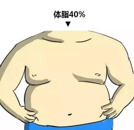 男生体脂率变化图 体脂率和体型对照