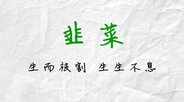 写到这里,才发现,原来韭菜最大的瓶颈就是没有很多的闲钱啊!