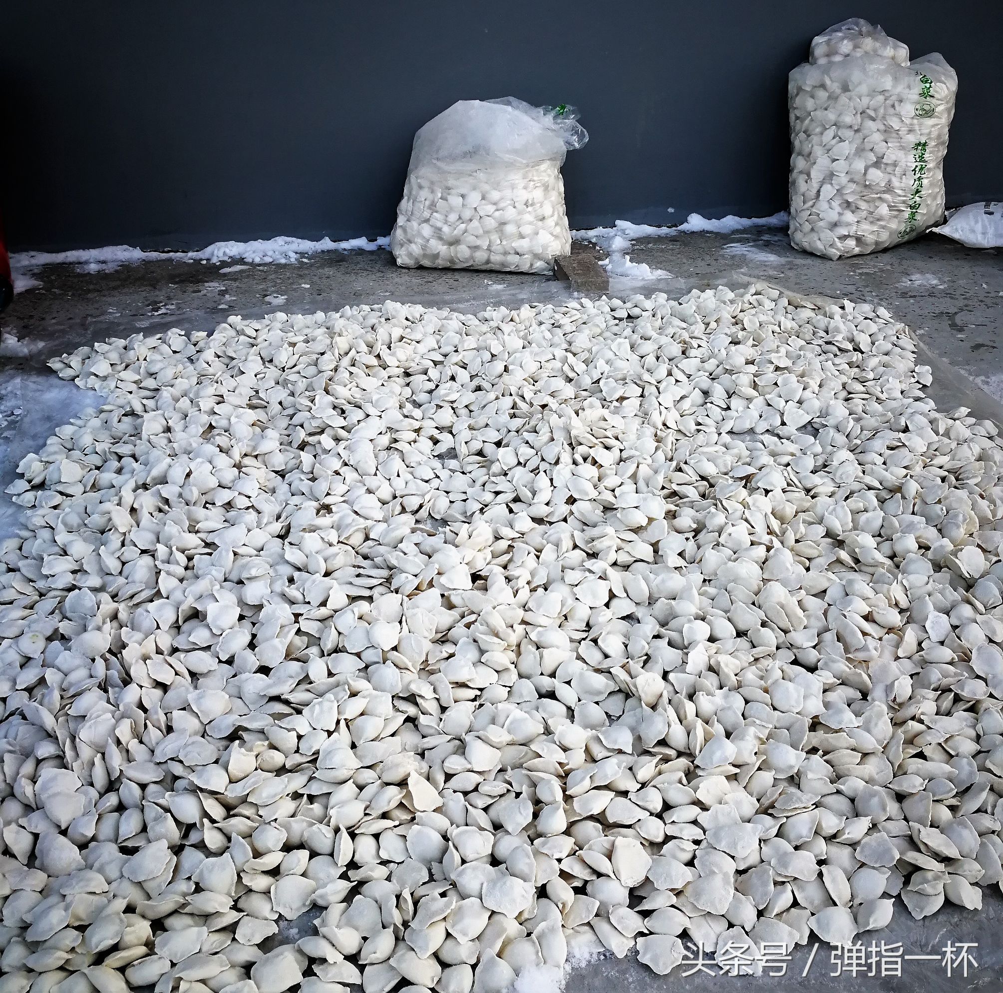 东北小镇路边全是冻饺子,年轻人外出打工老年