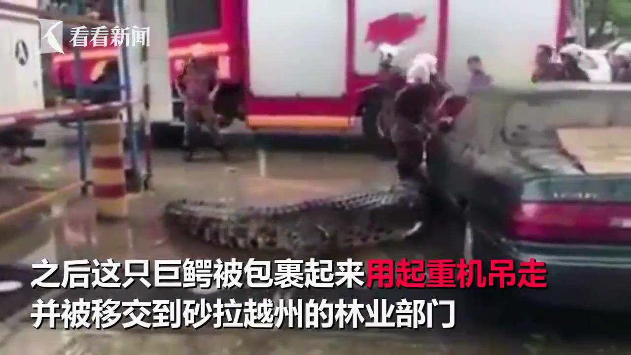 图为现场。