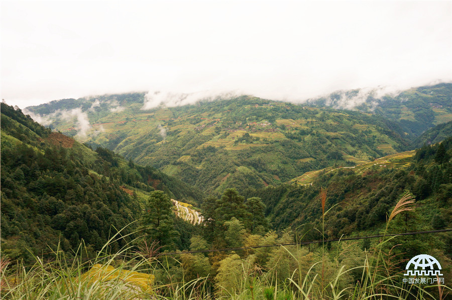 月亮山下有鱼有鸭有稻花 月亮山下有鱼有鸭有稻花