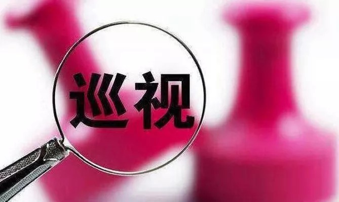 【脱贫攻坚】中央巡视组在26个地方,单位挖出了哪些问题?