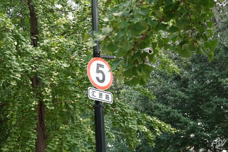 我在索尼黑卡6的望远镜里看到你