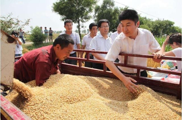 农民收割小麦回家后,统计账单,你们说结果怎么