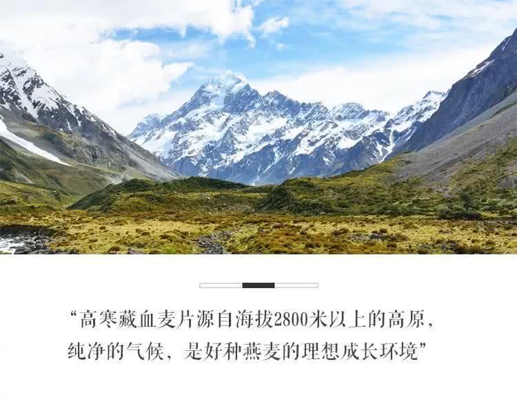 来自青藏雪域高原的献礼藏血麦、燕麦片、燕麦