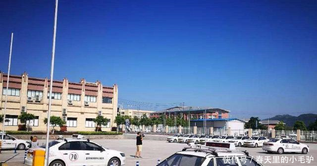 驾校考试即日起,科目二和科目三调整了考试项