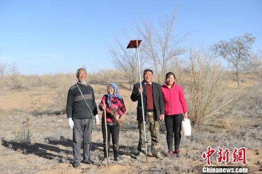 父子坚守沙漠30余年:造林7500亩约680个足球场