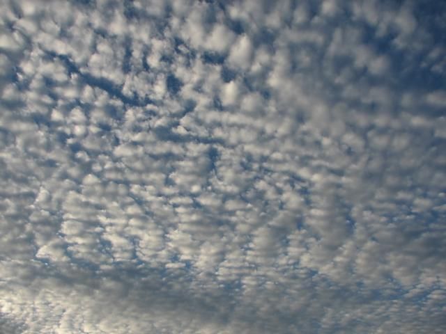 日本大阪发生6.1级地震,地震前都有哪些征兆?