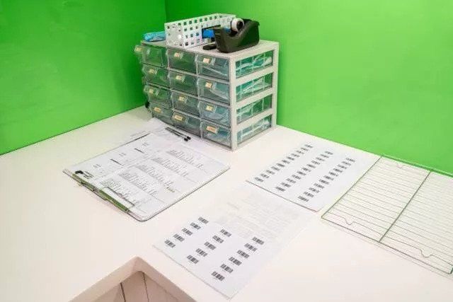 《如懿传》霍建华身穿绿马甲调戏装嫩的周迅,