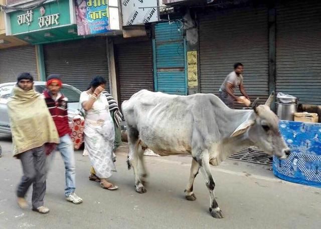 印度和巴基斯坦哪个更穷? 一组数据来告诉你