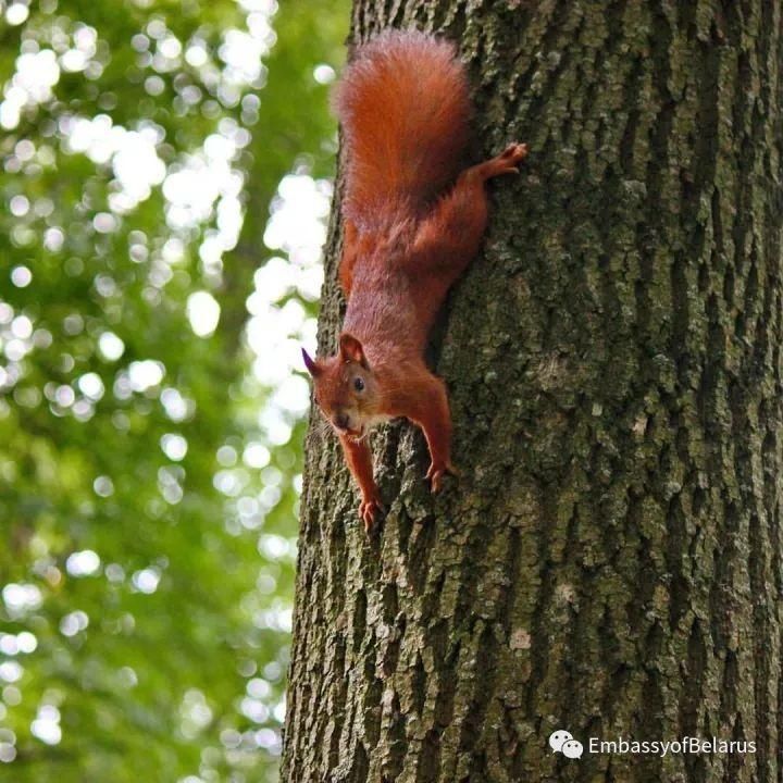 呼和浩特女女远赴欧洲留学是种啥体验?据说一