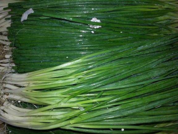 癌细胞最怕的三种蔬菜 经常吃癌症远离你!