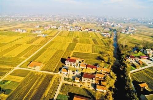 今年河北将重点推进16个农村集体产权改革试