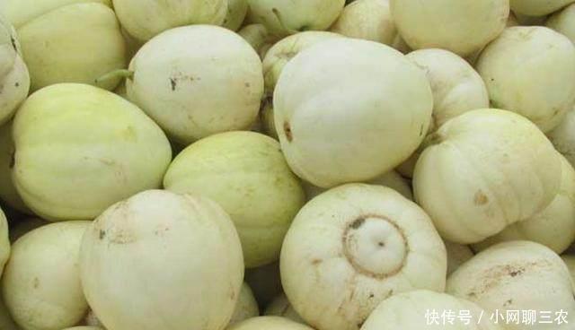 不知道怎么选香瓜?买香瓜记住这4个点,让你挑