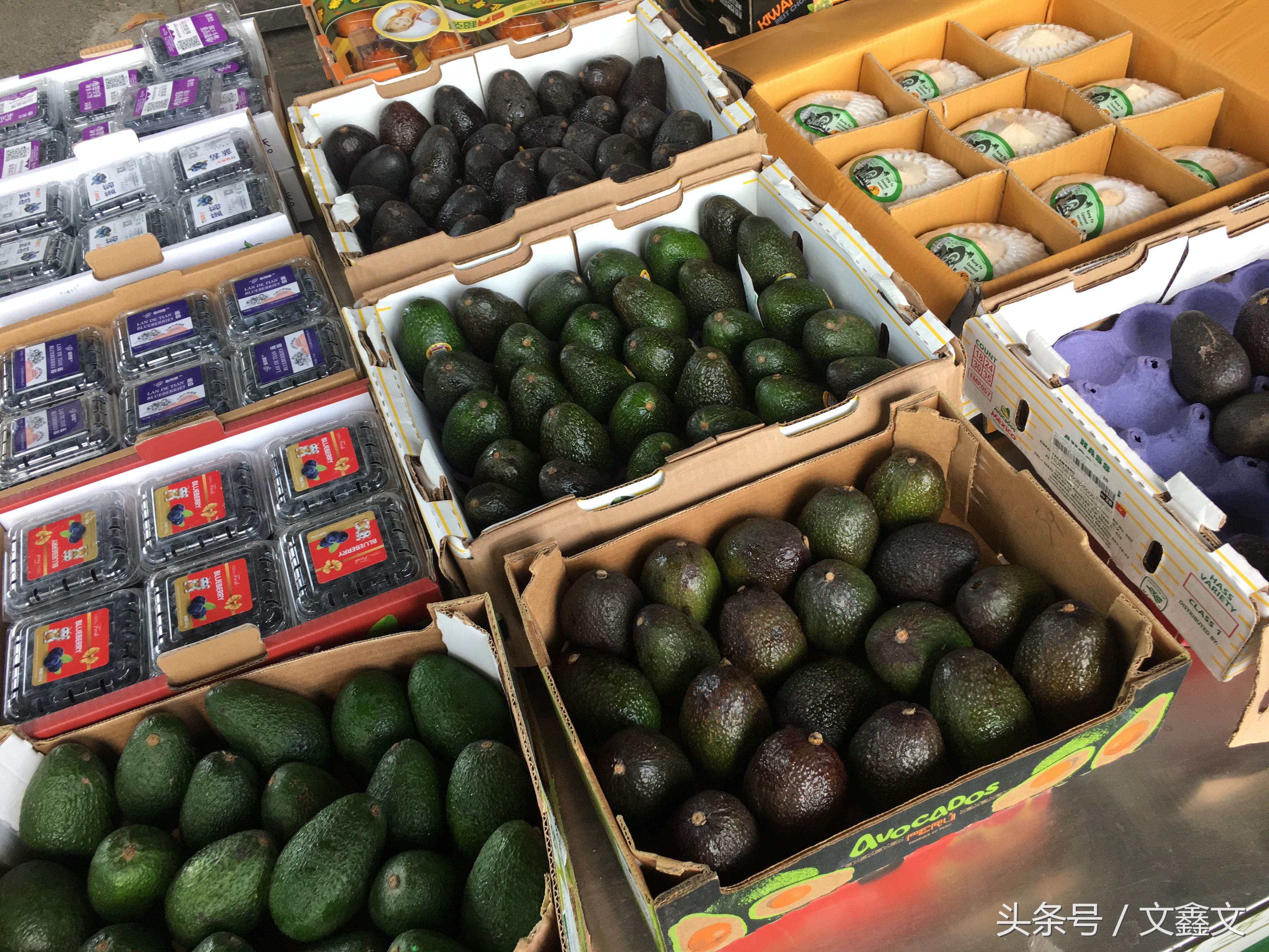 人在旅途:广西最大的水果批发市场游记