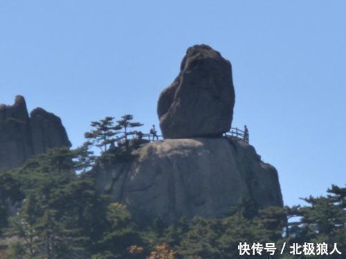 解读红楼梦的真正结局,由元春之死引出的贾府