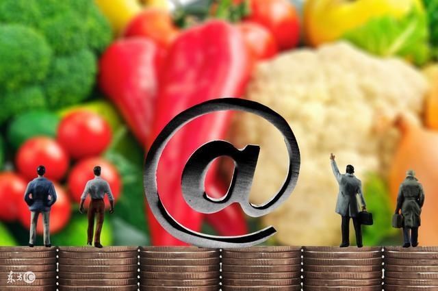 未来五年农村创业点子,草根创业新项目互联网