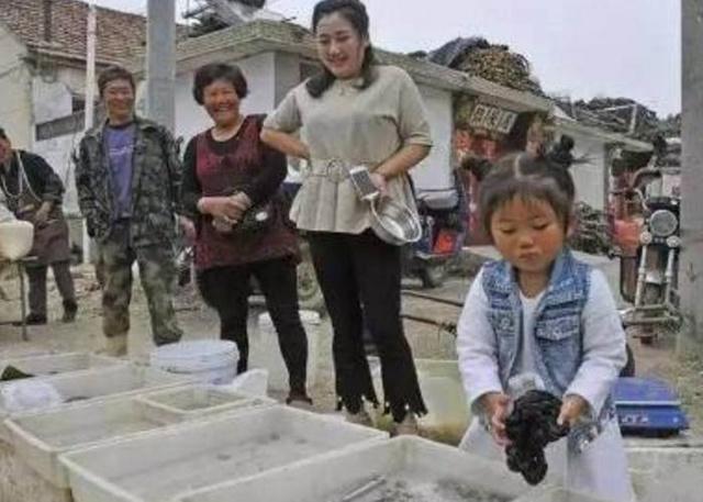 四岁女孩集市卖“毛”100一斤遭疯抢 四岁女孩集市卖“毛”100一斤遭疯抢