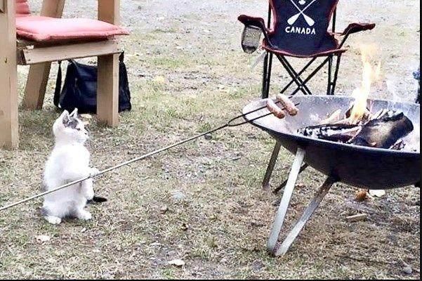 搞笑图片幽默段子笑话:闺蜜支招测试老公,结果