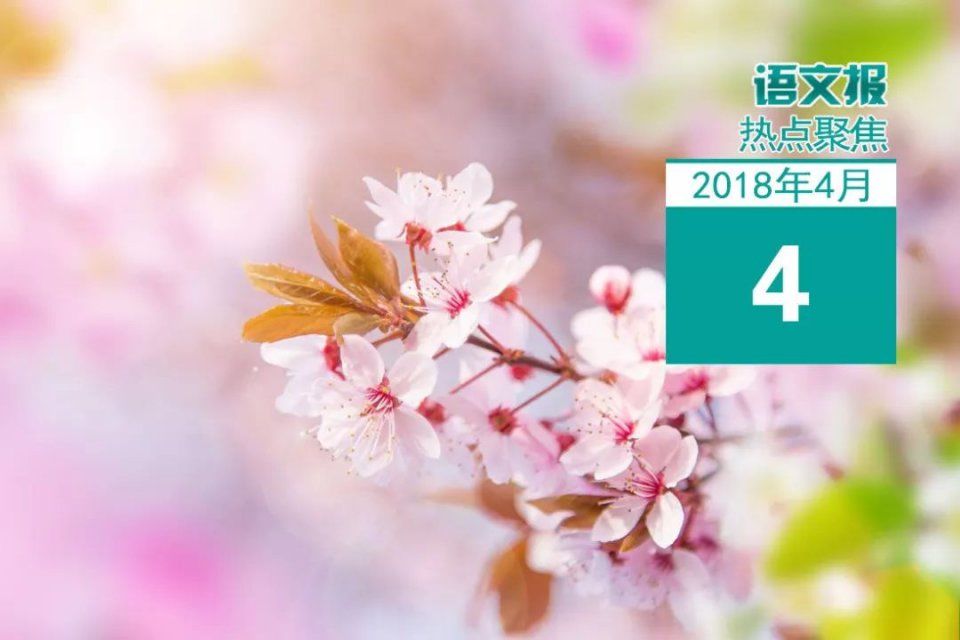 热点聚焦 | 教育部:重点解决中小学招生、特长生