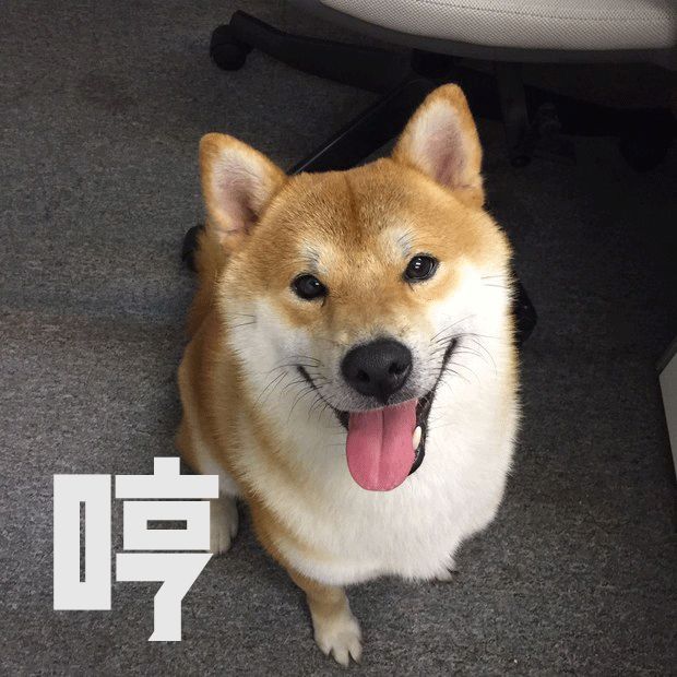 魏璎珞、baby同款懒人编发,一分钟就能学会