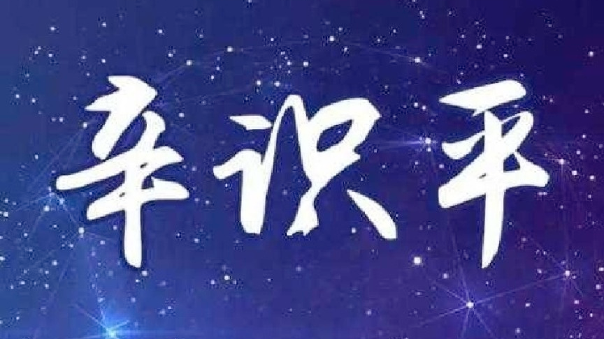 辛识平：岁月不负奋斗者——奔向2020之二