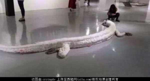 全世界震惊!神仙在昆仑山,有人拍到了!