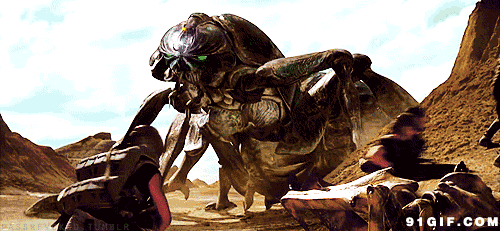 500_231gif 动态图 动图