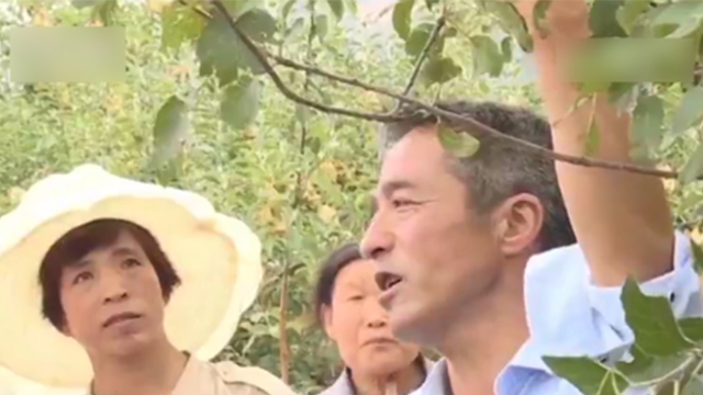 靳志强:从庄稼汉到果树“土专家” 靳志强:从庄稼汉到果树“土专家”