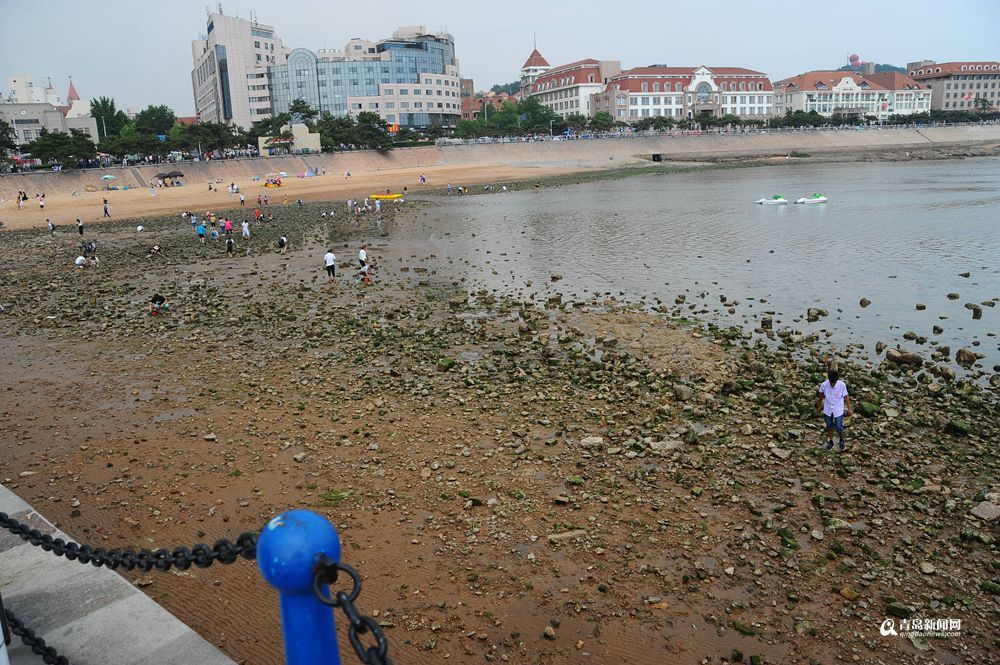 高清:栈桥跌大潮露出壮观礁石阵 游客热闹赶海