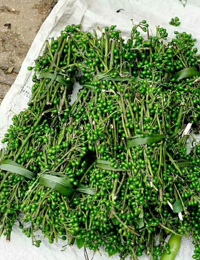 云南木姜子 开胃神菜