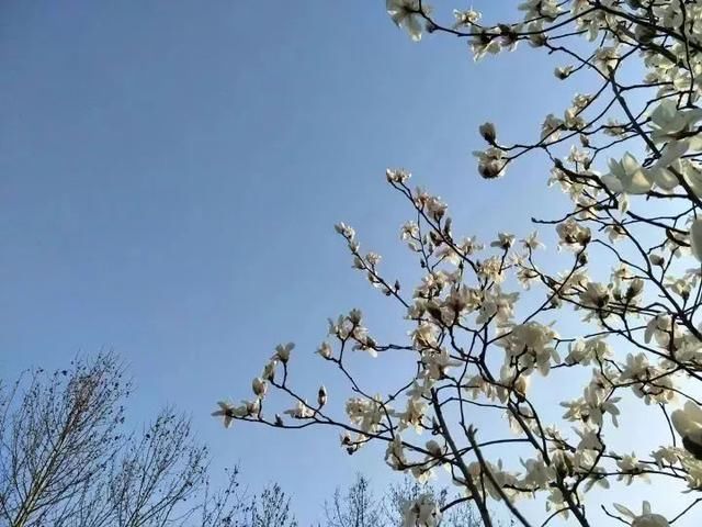 2018年中国大学毕业生酬薪排行榜TOP200出炉