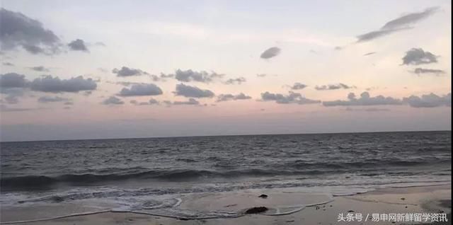 在澳洲人眼中的中国人是这样的!