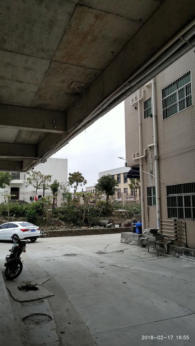 血统纯正,努比亚z17s手机安装谷歌pixel2相机