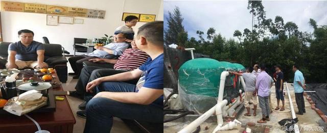 土塘养虾62天33头,最高亩产近5000斤!钦州德