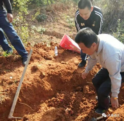 河市镇奋力攻坚坟墓迁移工作