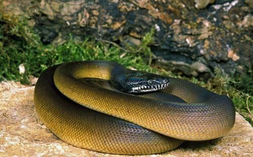 孩在河里捡到一轮胎,带回家打开一看,让孩子高