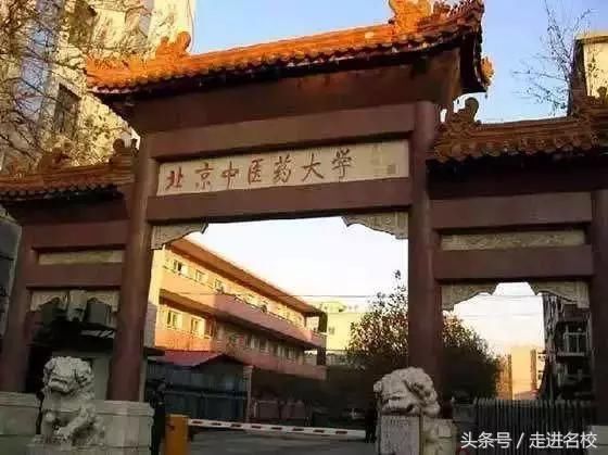 中国最好的五所中医药大学,救死扶伤,学医还是