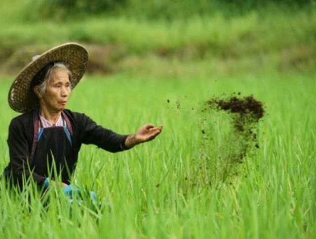 50岁以上的农民工怎么养老?国家来给你补贴,不