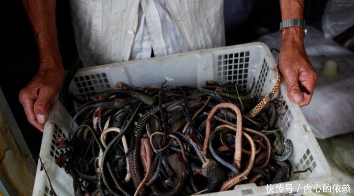 人在旅途鸡皮疙瘩掉一地(鸡皮疙瘩掉一地的搞笑图片)