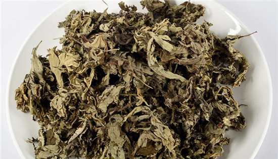 艾叶泡脚可以治咳嗽吗?艾叶泡脚竟有这种神