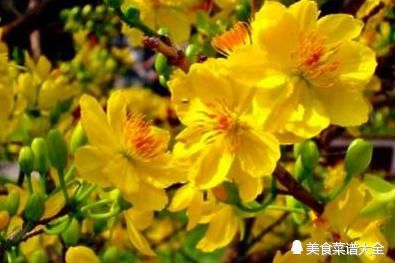 各国年菜大不同,越南过年吃粽子,新加坡和韩国